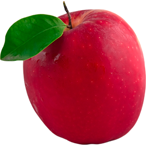 alefox